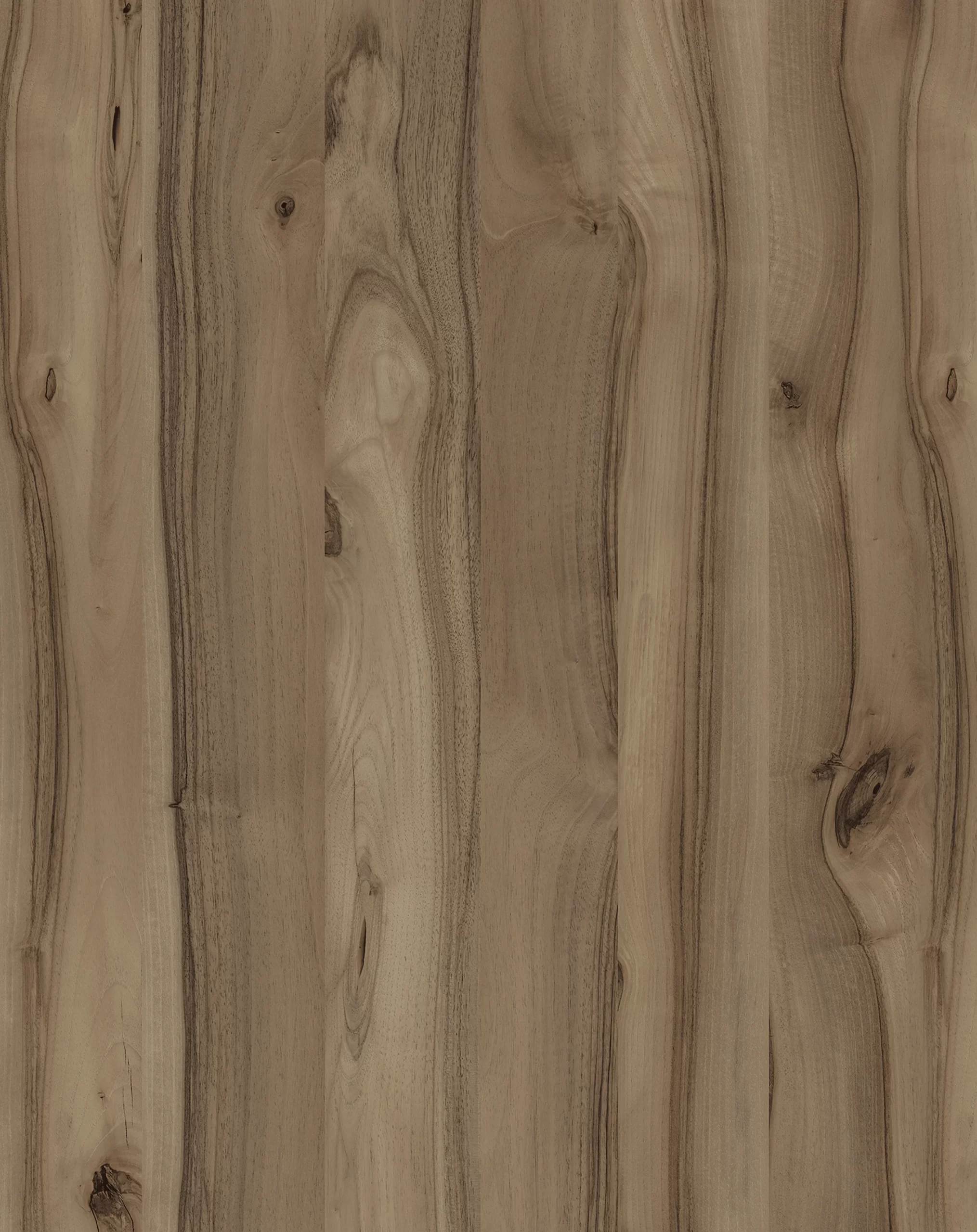 M170, Avorgan Walnut, light